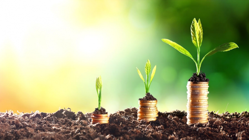 &laquo;За хорошее, устойчивое поведение&raquo;: какие льготы от банков могут получить &laquo;зеленые&raquo; компании