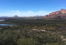 Почему крупнейшие мировые производители чипов строят заводы в пустыне Аризоны