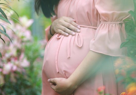 В законопроекте Толстого о суррогатном материнстве усмотрели ущемление мужских прав