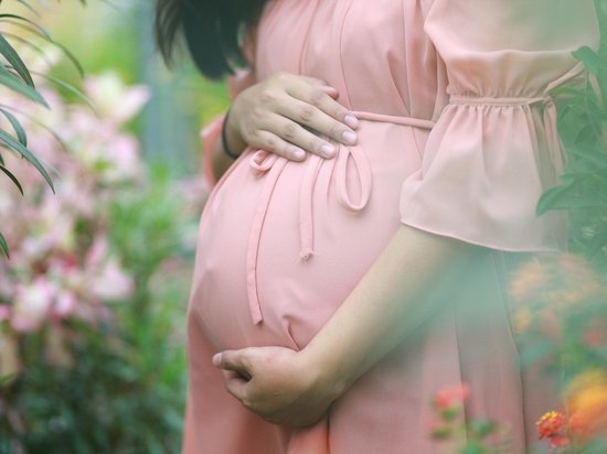 В законопроекте Толстого о суррогатном материнстве усмотрели ущемление мужских прав