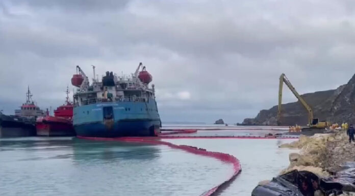 «Птицы поступают беспрерывно»: волонтер рассказала о помощи пернатым в Анапе