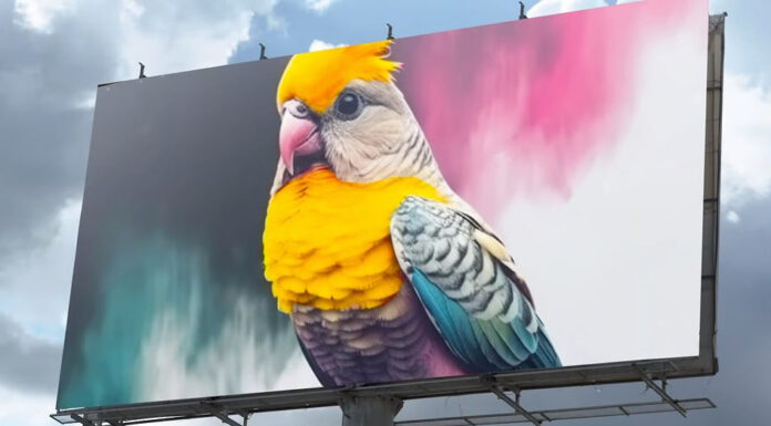 Термохромоморфные картины меняются под влиянием температуры