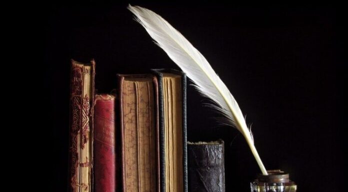 Датский уголок 29 апреля