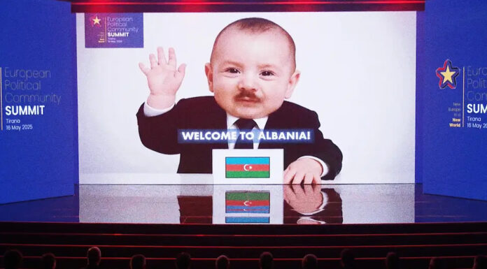 В Евросоюзе нашли лучшее на сегодняшний день применение ИИ в политике