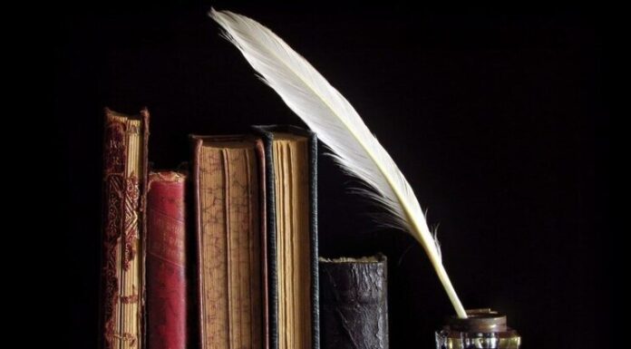 Датский уголок 29 июля