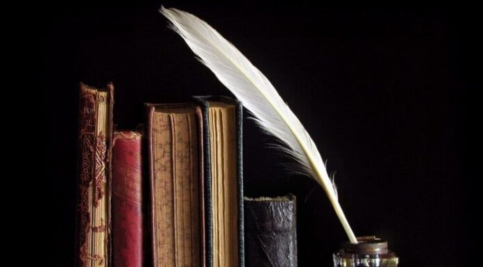 Датский уголок 26 августа