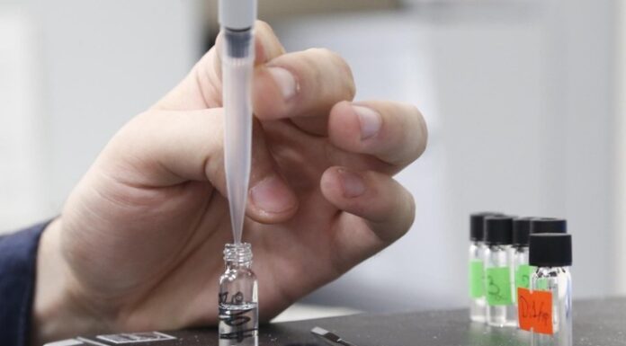 Московские следователи благодаря ДНК-тесту раскрыли преступление 10-летней давности