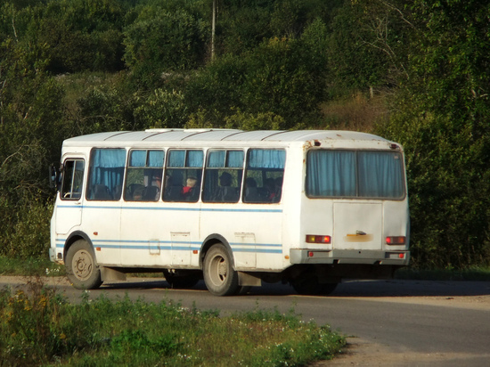 Незабываемые впечатления о летнем отдыхе в Крыму